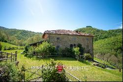 RESTORED COUNTRY HOUSE FOR SALE TUSCANY FORESTE CASENTINESI NATIONAL PARK