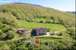 RESTORED COUNTRY HOUSE FOR SALE TUSCANY FORESTE CASENTINESI NATIONAL PARK