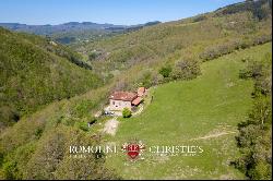 RESTORED COUNTRY HOUSE FOR SALE TUSCANY FORESTE CASENTINESI NATIONAL PARK