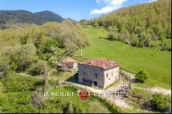 RESTORED COUNTRY HOUSE FOR SALE TUSCANY FORESTE CASENTINESI NATIONAL PARK