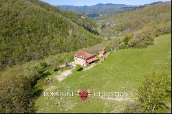 RESTORED COUNTRY HOUSE FOR SALE TUSCANY FORESTE CASENTINESI NATIONAL PARK