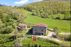 RESTORED COUNTRY HOUSE FOR SALE TUSCANY FORESTE CASENTINESI NATIONAL PARK