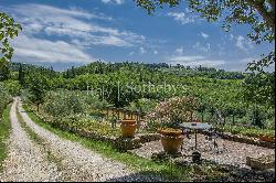 Panoramic agriturismo producing organic olive oil of Chianti