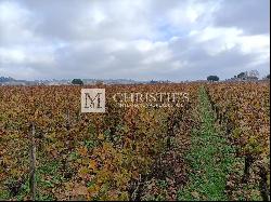 Beautiful vineyard estate - AOC Saint Emilion