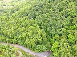 0 Deep Woods #LOT 9, Rabun Gap GA 30568