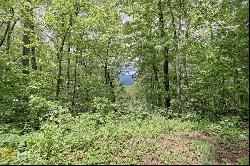 0 Deep Woods #LOT 9, Rabun Gap GA 30568