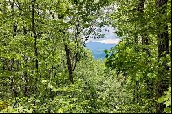 0 Deep Woods #LOT 9, Rabun Gap GA 30568