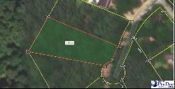 Lot 13 Tee Circle, Darlington SC 29532