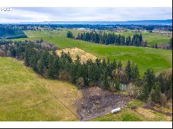 Carty Rd, Ridgefield WA 98642