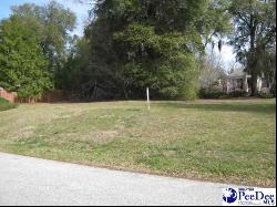 Lot 2 Evangeline Drive, Darlington SC 29532