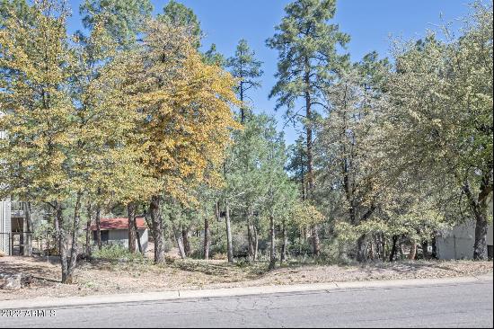 512 W Overland Road #83, Payson AZ 85541