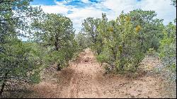 83 Pecos Barillas Road, Pecos NM 87552