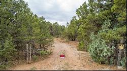 83 Pecos Barillas Road, Pecos NM 87552