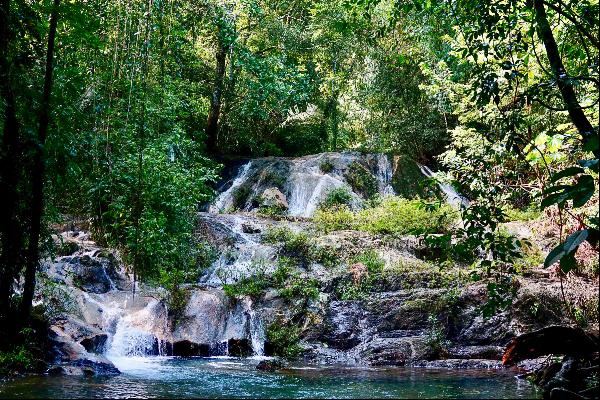 40 Acre Private Wildlife Waterfalls Wellness Retreat