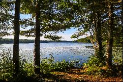 Secluded Paradise in Norfolk, CT