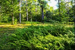 Secluded Paradise in Norfolk, CT