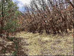 Lot 8 Deer Mesa, Valdez NM 87571