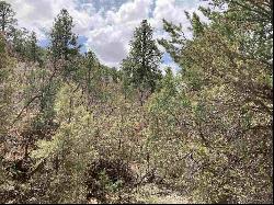 Lot 8 Deer Mesa, Valdez NM 87571