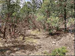 Lot 8 Deer Mesa, Valdez NM 87571