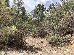 Lot 8 Deer Mesa, Valdez NM 87571