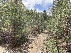 Lot 8 Deer Mesa, Valdez NM 87571