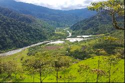 Tapantí Forest, Orosí