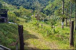 Tapantí Forest, Orosí