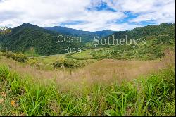 Tapantí Forest, Orosí