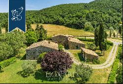 Wonderful farmstead with old farmhouses and 80 hectares of grounds in the Tuscan countrysi