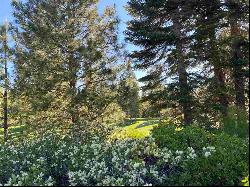 80 Terranova Drive, Lake Almanor CA 96137