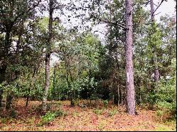 7397 SE Maricamp Road, Ocala FL 34472