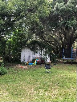 12257 SE 135th Avenue, Ocklawaha FL 32179