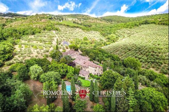 ORGANIC ESTATE FOR SALE IN CHIANTI, TUSCANY ITALY