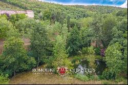 ORGANIC ESTATE FOR SALE IN CHIANTI, TUSCANY ITALY