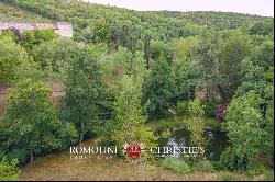 ORGANIC ESTATE FOR SALE IN CHIANTI, TUSCANY ITALY