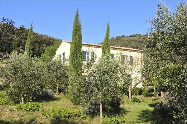 One of the oldest farms on the island of Elba and now a renowned wine estate