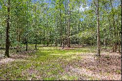 48 Acres in Northwest Florida along the Choctawhatchee River 