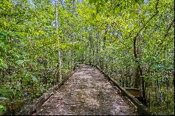 48 Acres in Northwest Florida along the Choctawhatchee River 