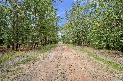 48 Acres in Northwest Florida along the Choctawhatchee River 