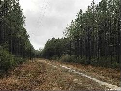 0000000 S Circle Block Loop #Lot 86, Greenville FL 32357