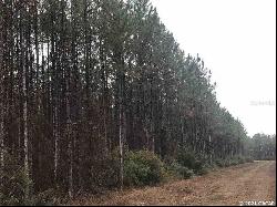 0000000 S Circle Block Loop #Lot 86, Greenville FL 32357