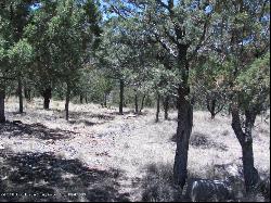 L 121 Sandesta Drive, Alto NM 88312