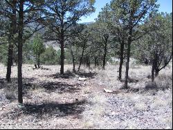 L 121 Sandesta Drive, Alto NM 88312