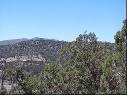 L 121 Sandesta Drive, Alto NM 88312