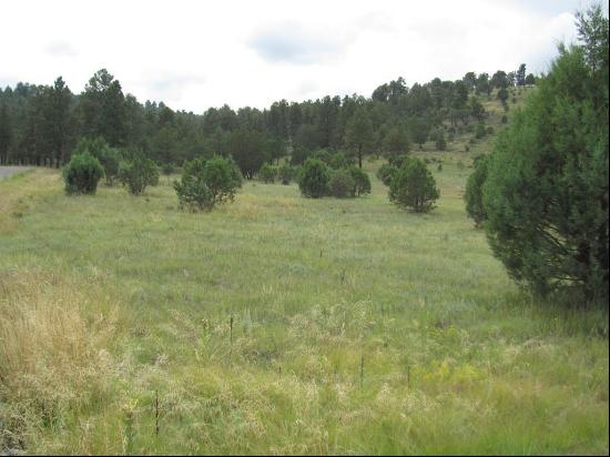 134 Deer Valley Drive, Alto NM 88312