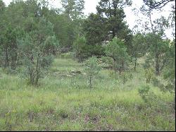 134 Deer Valley Drive, Alto NM 88312