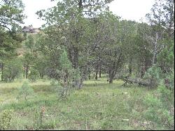 134 Deer Valley Drive, Alto NM 88312