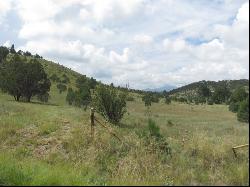 134 Deer Valley Drive, Alto NM 88312