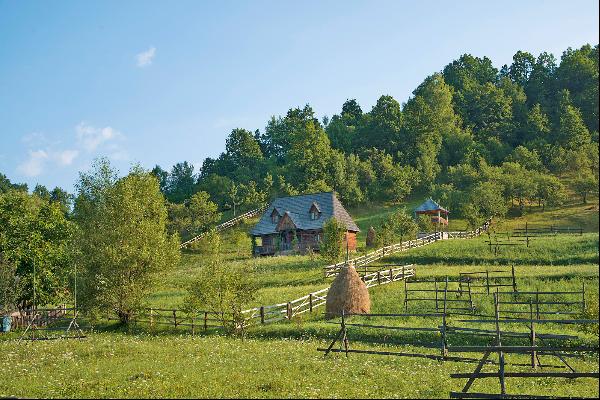 Beautiful Traditional House in Maramures