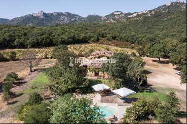 40 hectares Country House, La Sughereta